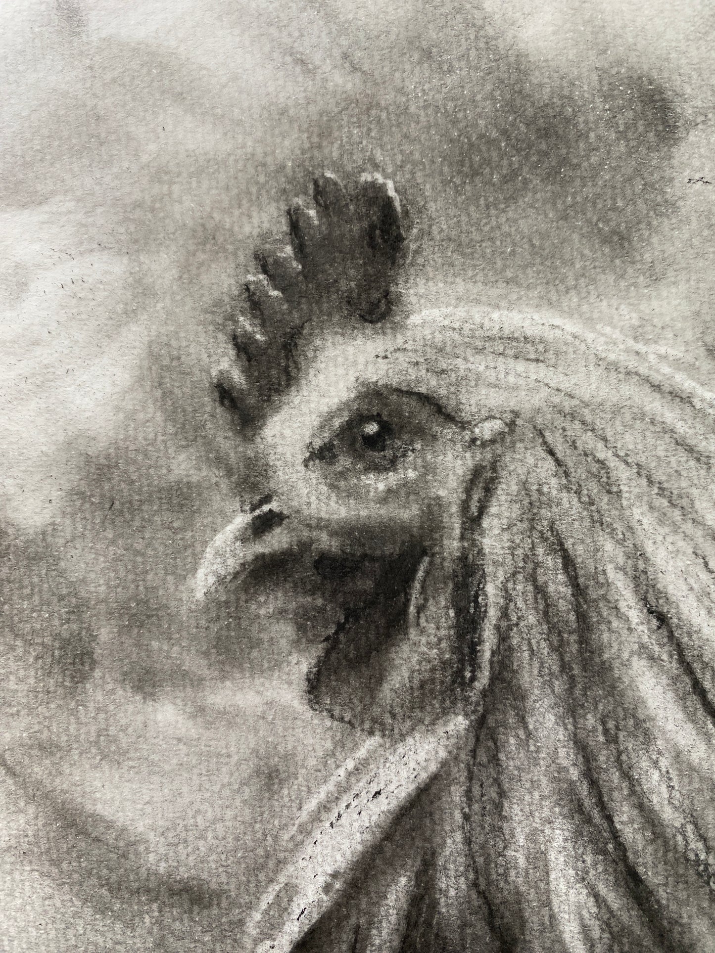 Mama Chook - Original Artwork