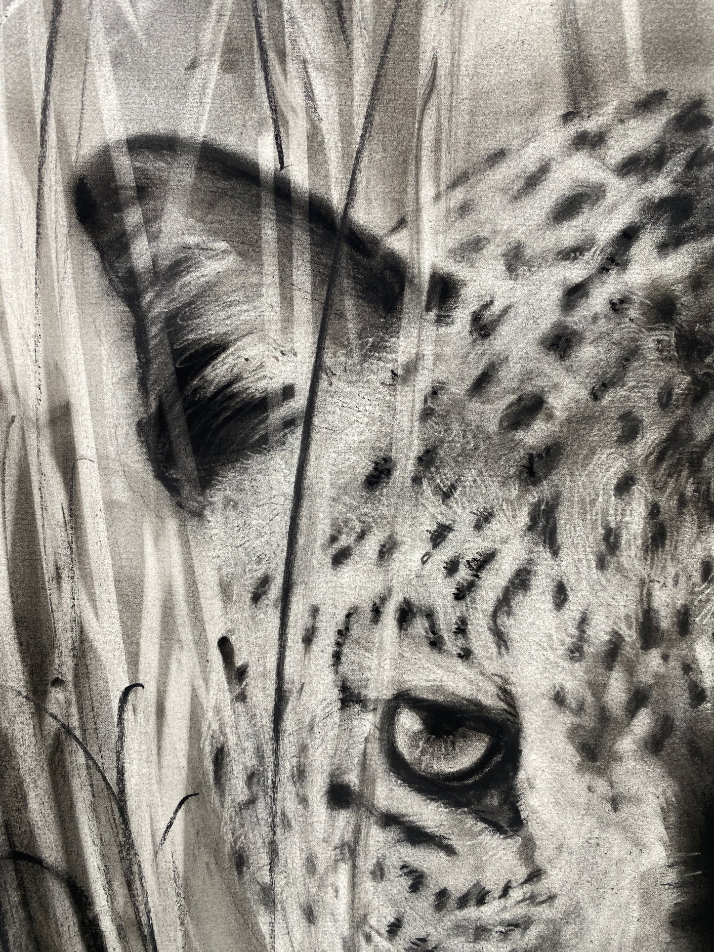 Moon Stalker - Original Artwork