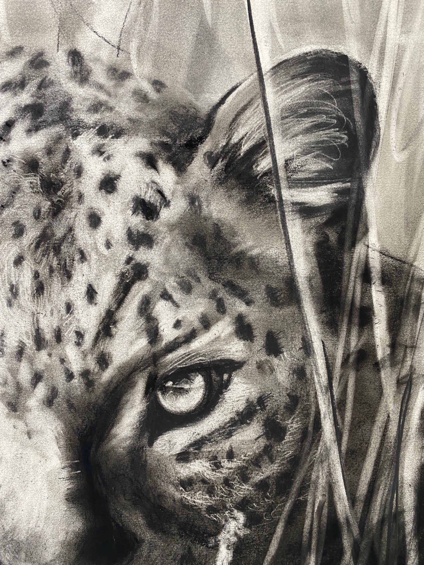 Moon Stalker - Original Artwork