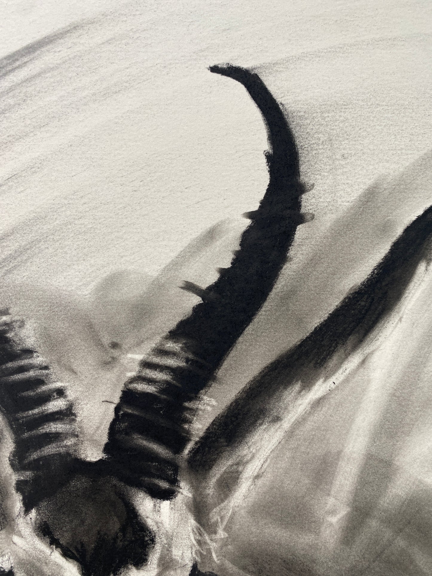 Giant Leaper - Original Artwork