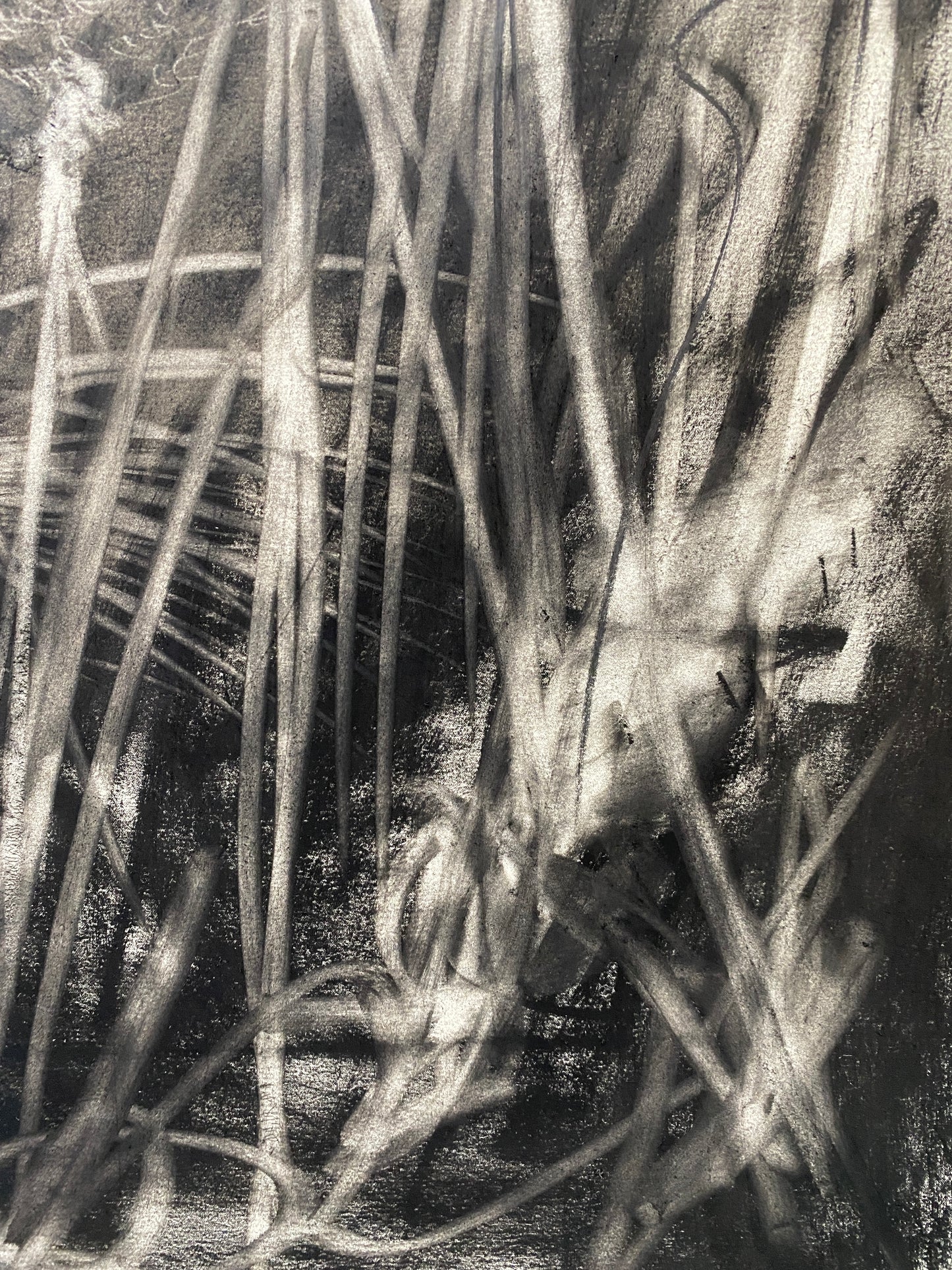 Moon Stalker - Original Artwork