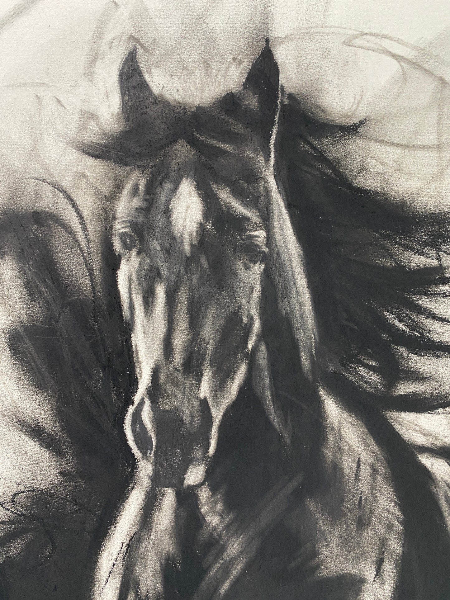 Bandit - Original Artwork