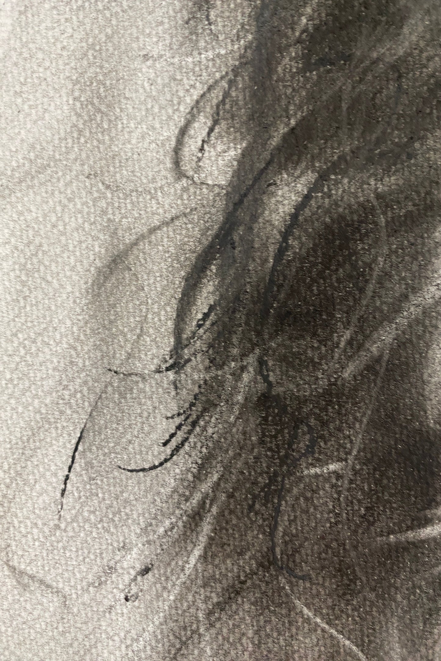 Salty Sailor - Original Artwork