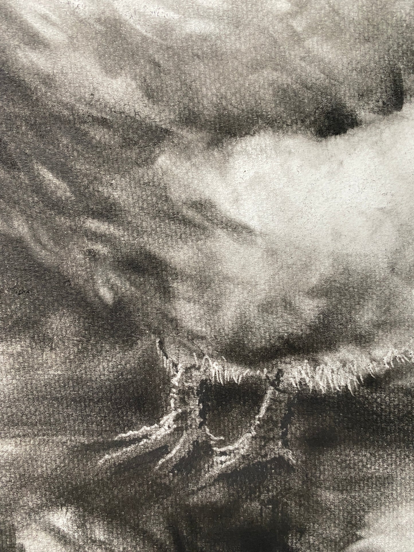 Mama Chook - Original Artwork