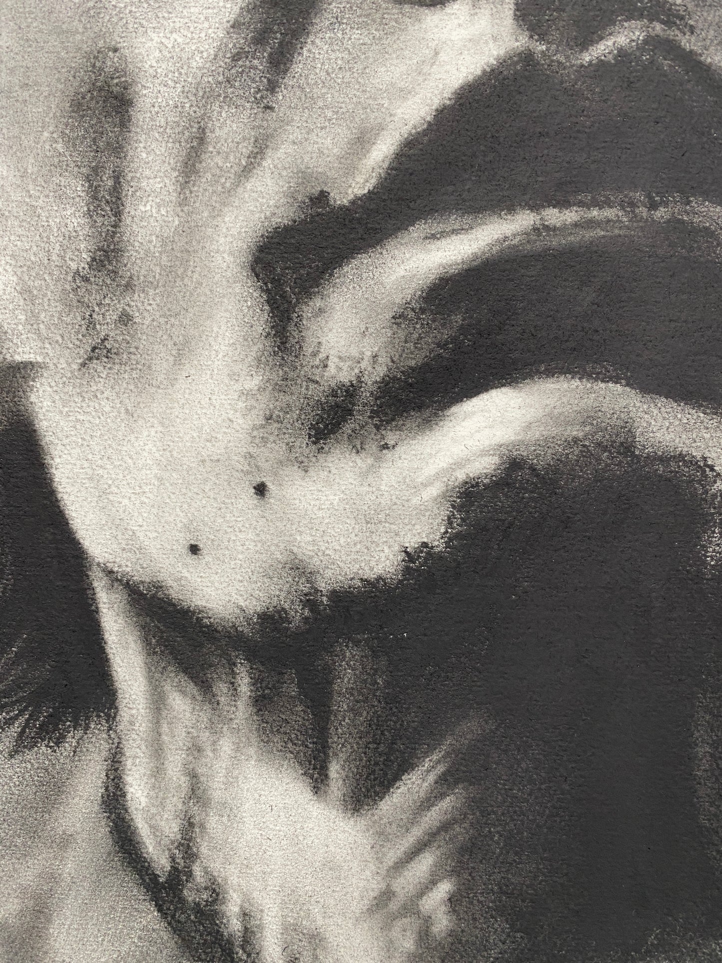 Andy Warhol - Original Artwork