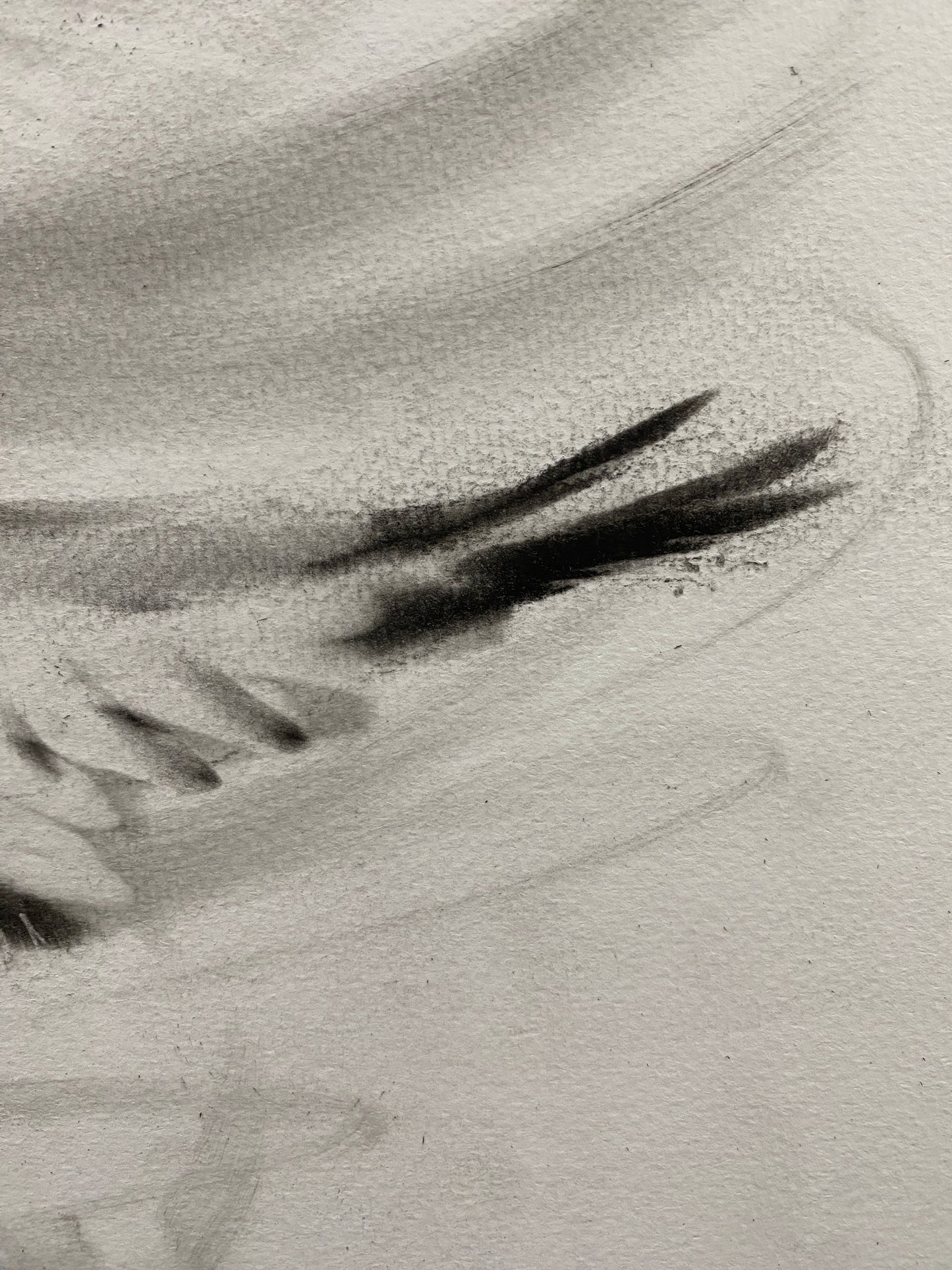 Wise One - Original Artwork