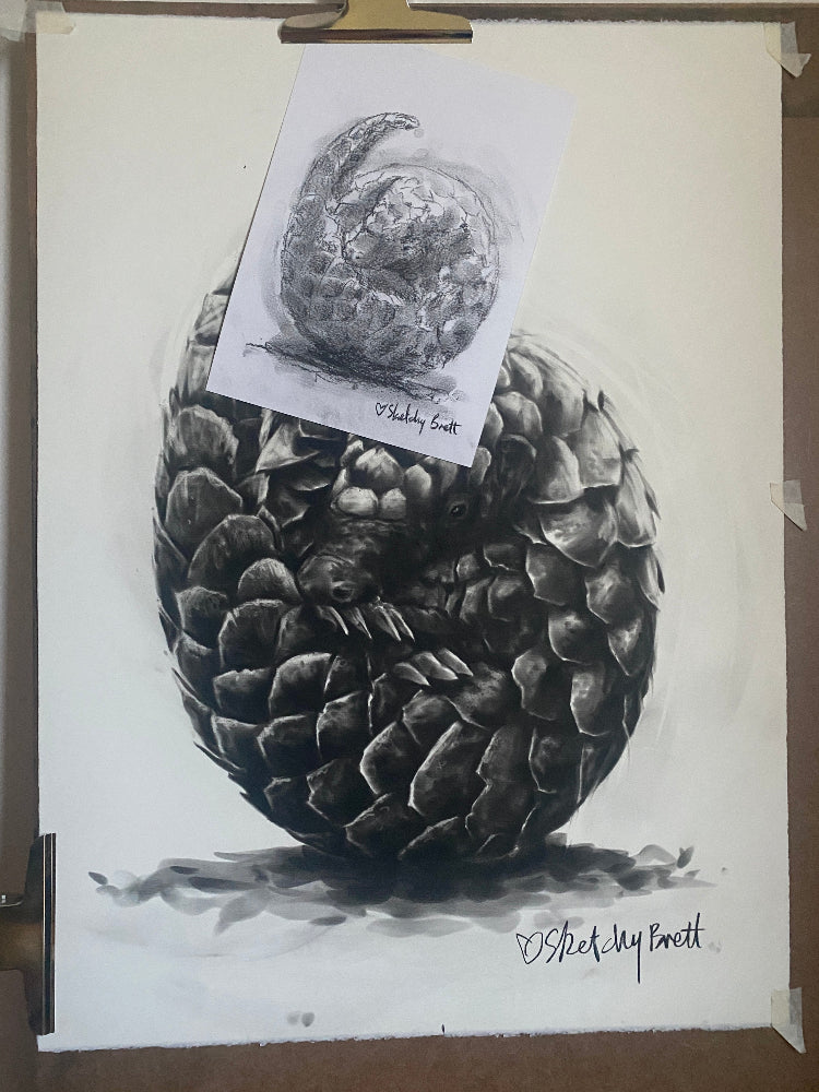 Sketch of a pangolin by Sketchy Brett