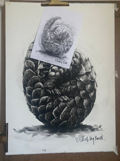 Sketch of a pangolin by Sketchy Brett