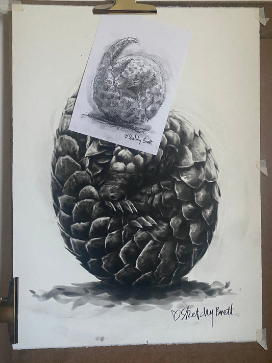 Sketch of a pangolin by Sketchy Brett