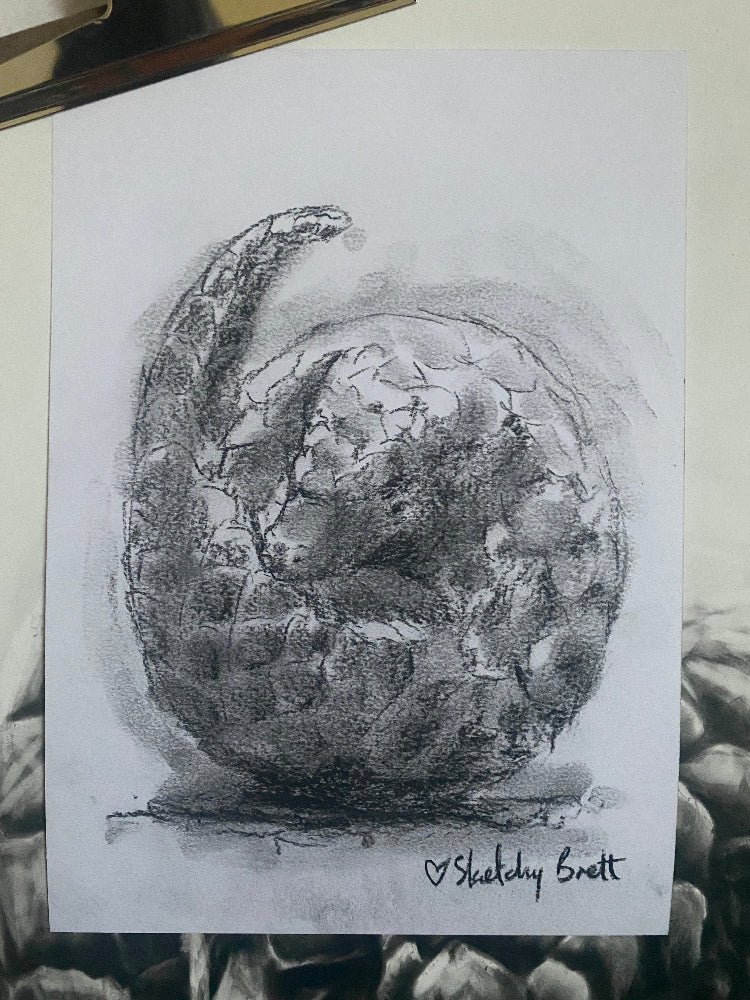 Artist Concept Sketch: Curious Pangolin
