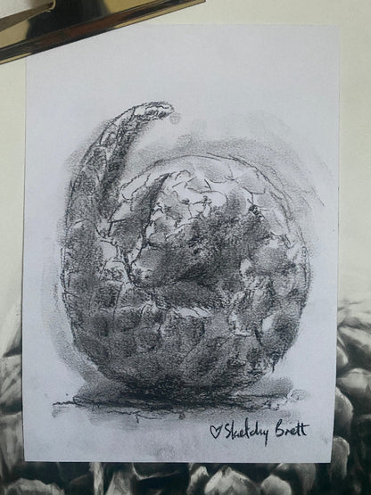 Artist Concept Sketch: Curious Pangolin