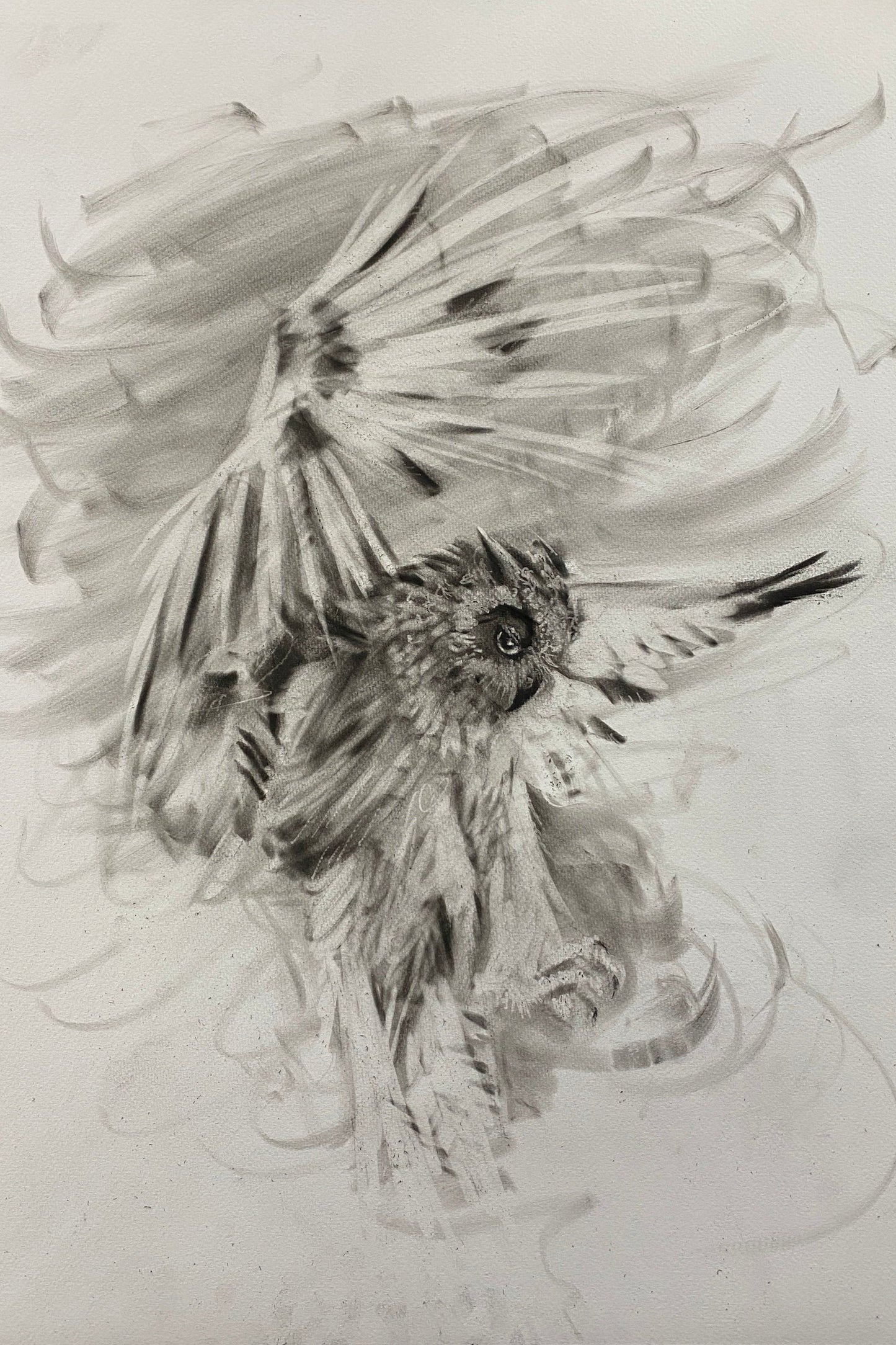 Wise One - Original Artwork